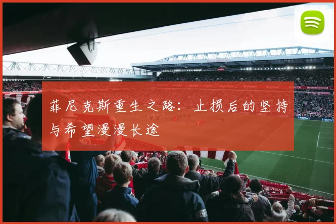 菲尼克斯重生之路：止损后的坚持与希望漫漫长途